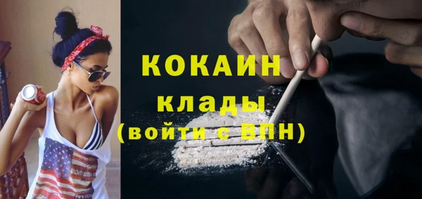 шишки Лиски