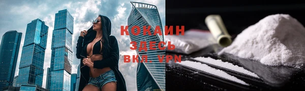 ПСИЛОЦИБИНОВЫЕ ГРИБЫ Лихославль