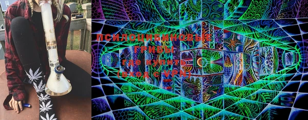шишки Лиски