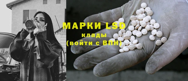 ПСИЛОЦИБИНОВЫЕ ГРИБЫ Лихославль