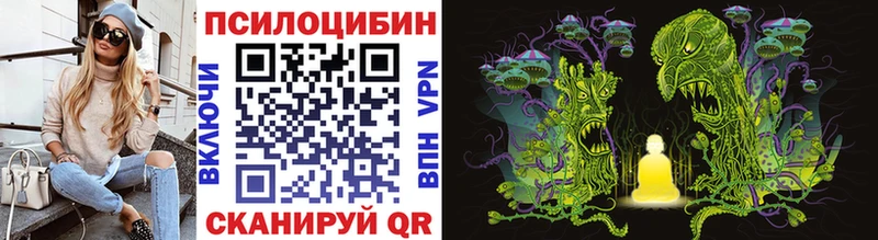 Галлюциногенные грибы GOLDEN TEACHER как найти Александровск